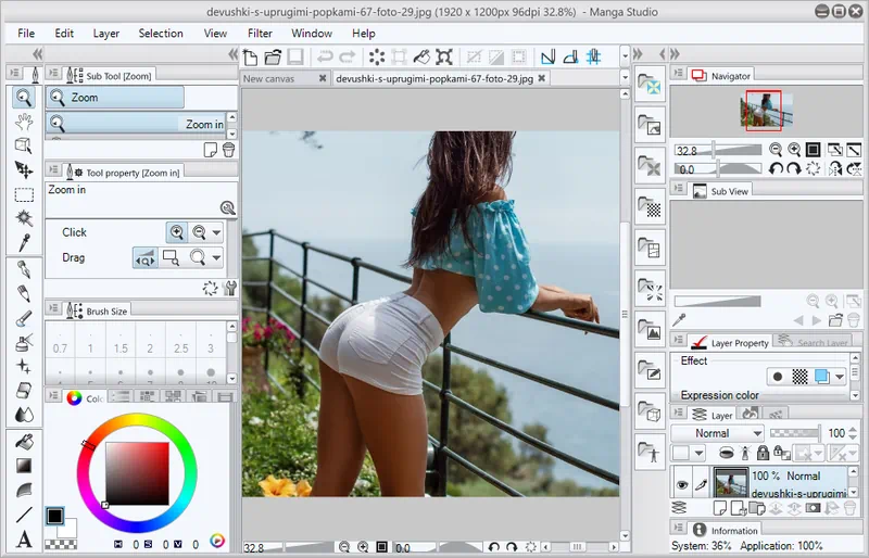 Manga Studio EX
