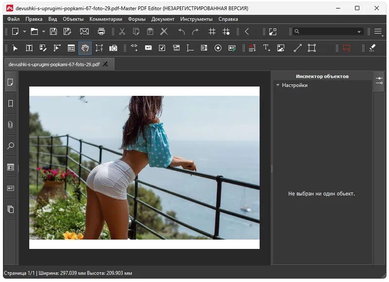 Master PDF Editor
