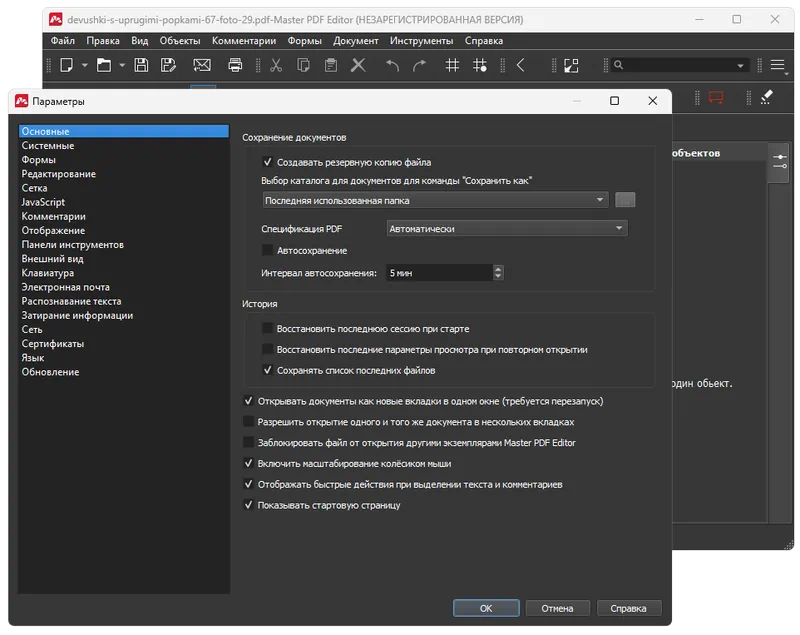 Параметры Master PDF Editor