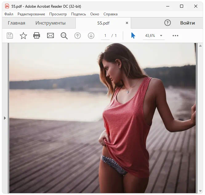 Adobe Acrobat Reader