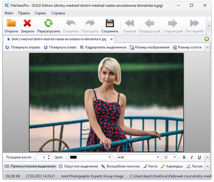 Fileviewpro