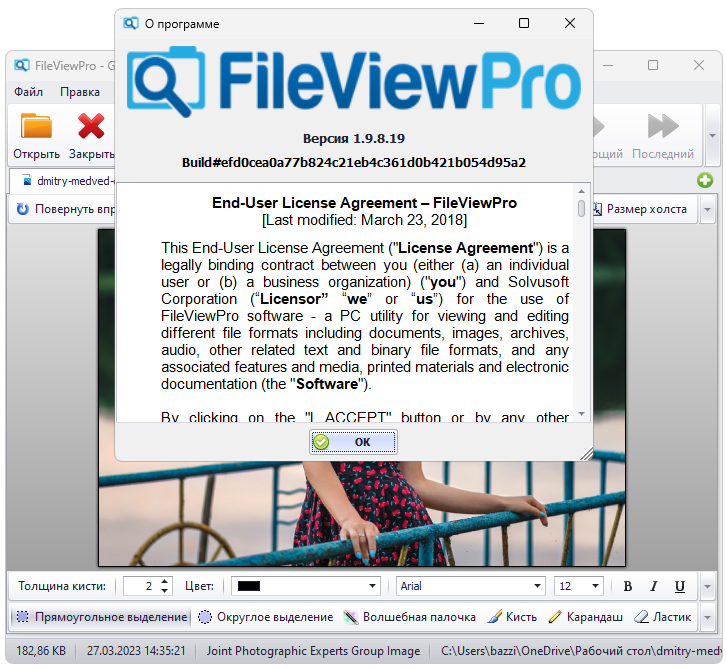 О программе Fileviewpro