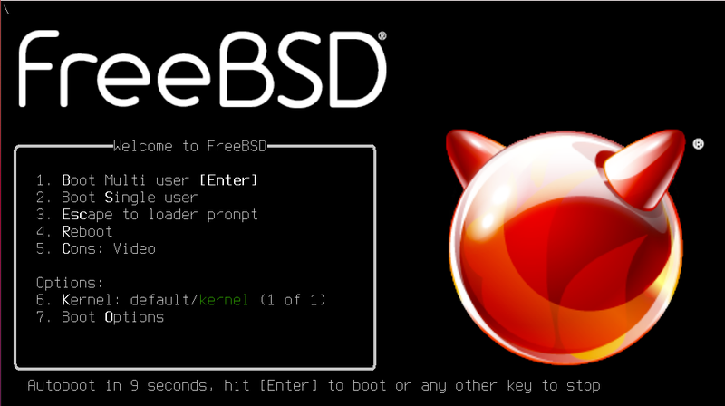 Установка Freebsd
