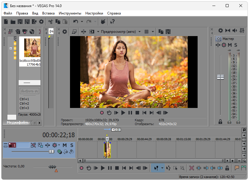 MAGIX Vegas 14