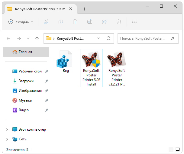 Варианты установки RonyaSoft Poster Printer
