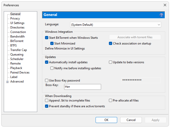 Настройки Bittorrent для Windows 11