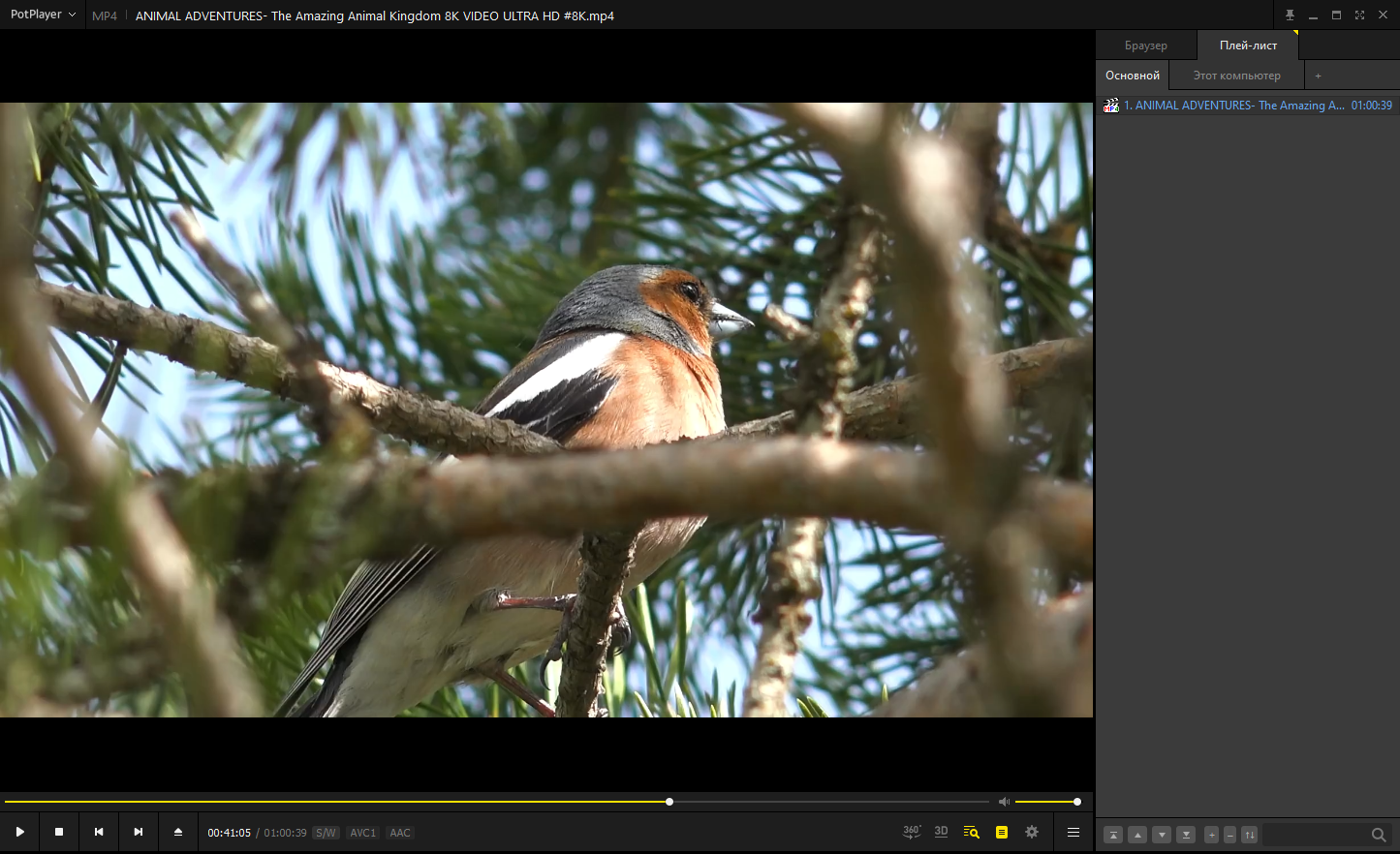screenshot_1