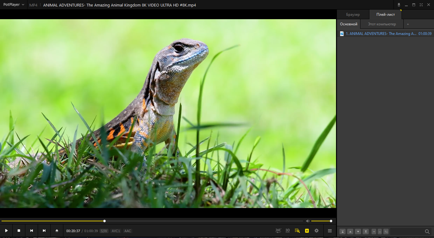 screenshot_1