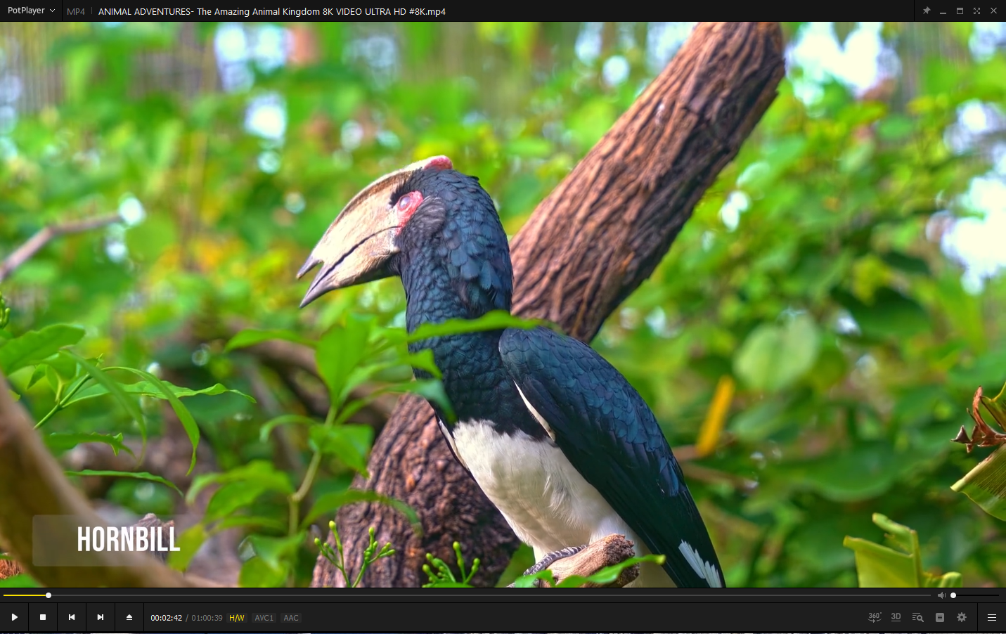 screenshot_1