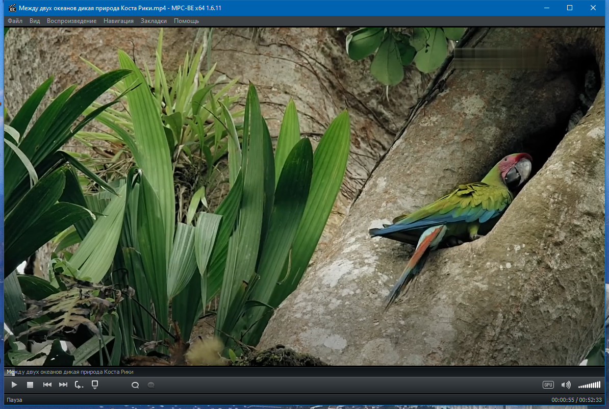 screenshot_1