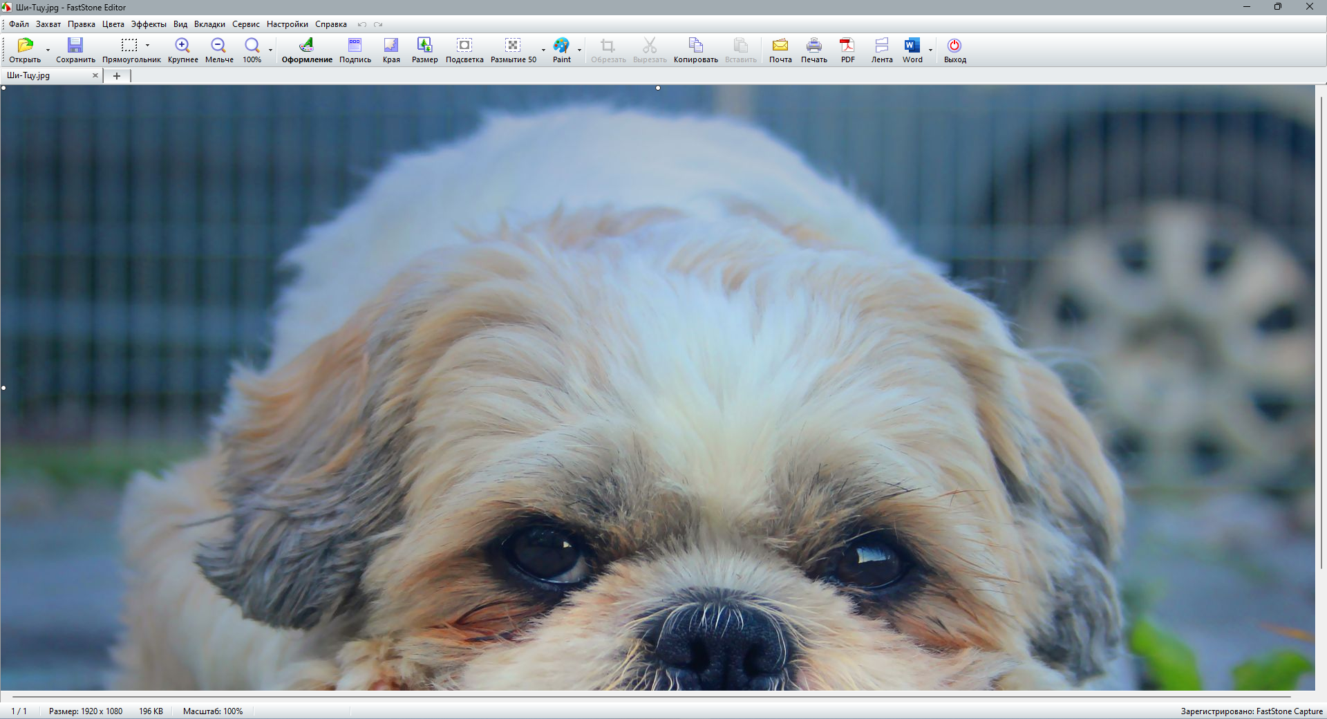 screenshot_1