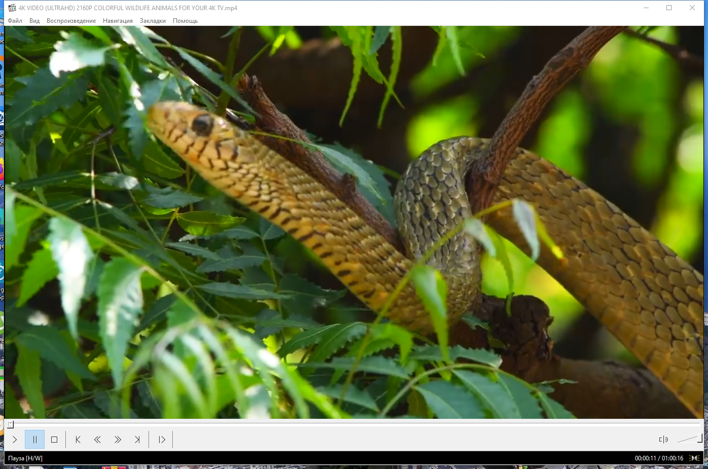 screenshot_1