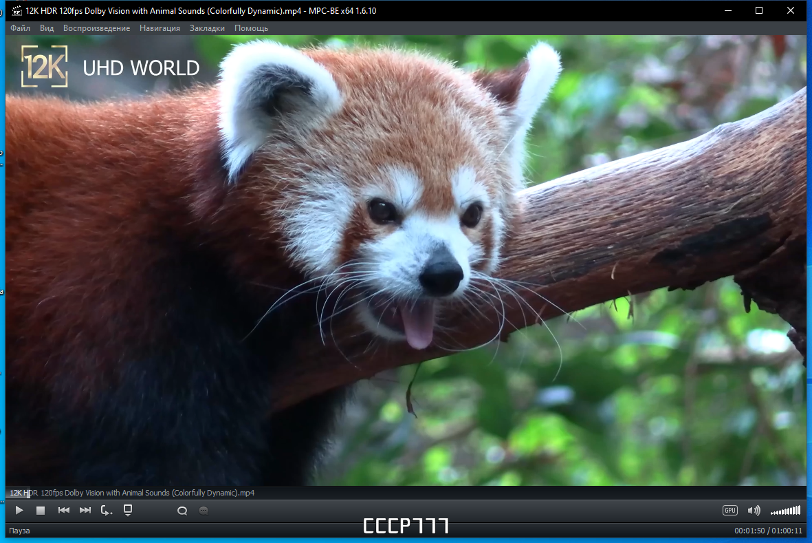 screenshot_1