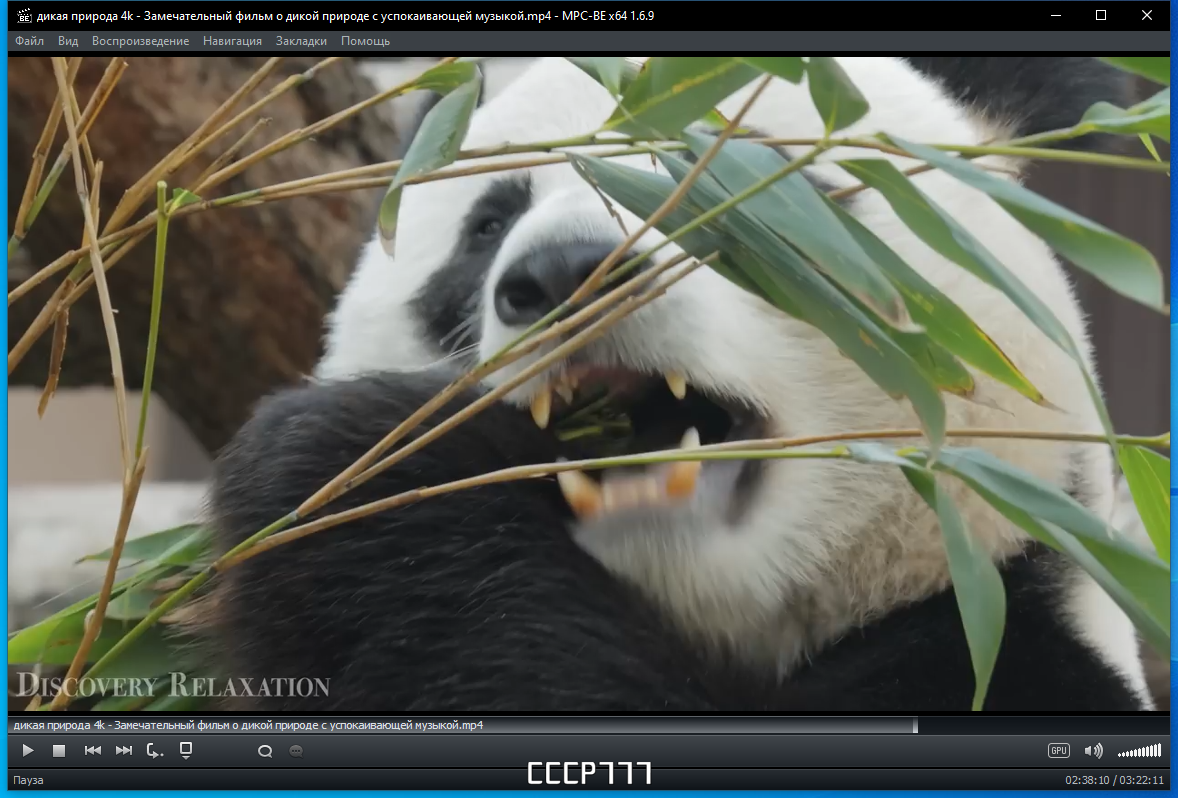 screenshot_1