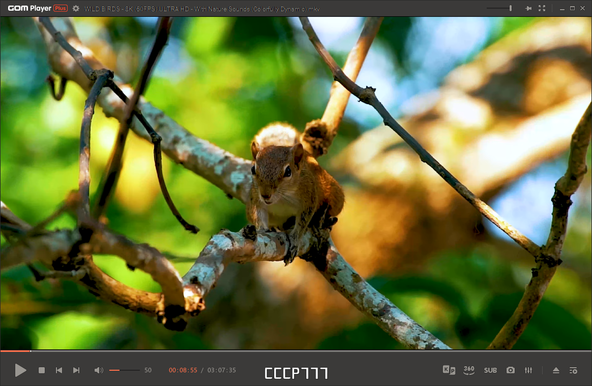 screenshot_1