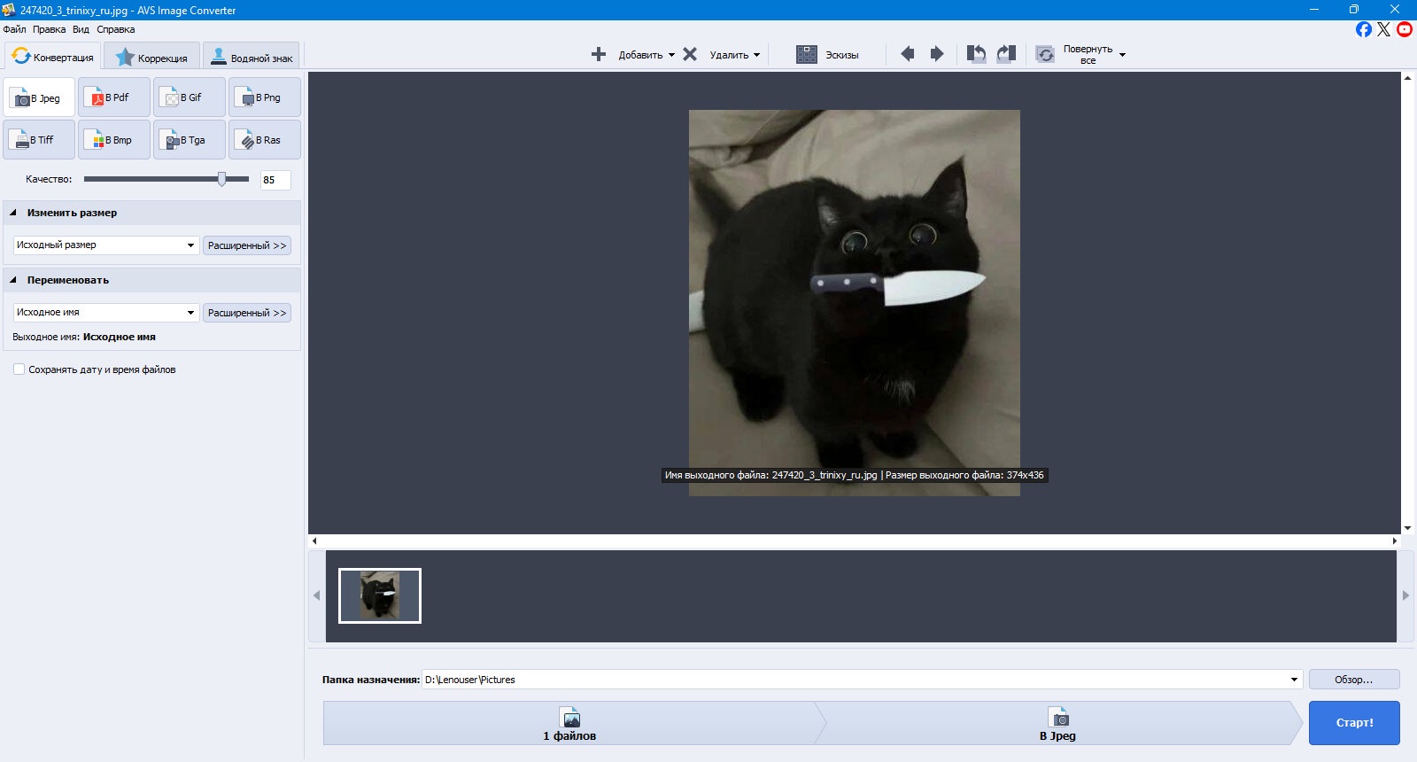 50820-avs-image-converter-70221-multi-ru
