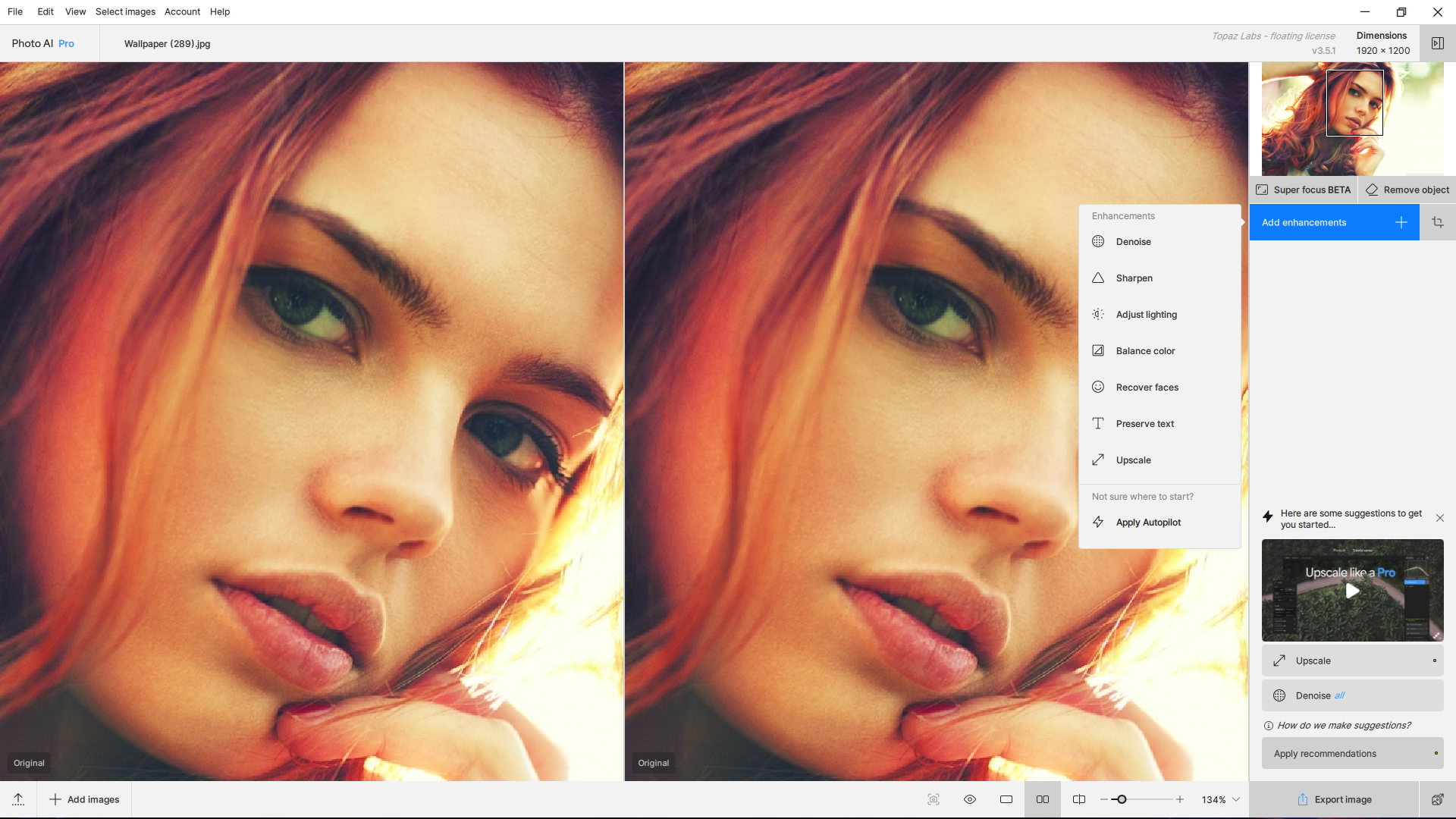 50591-topaz-photo-ai-pro-351-x64-rc-en