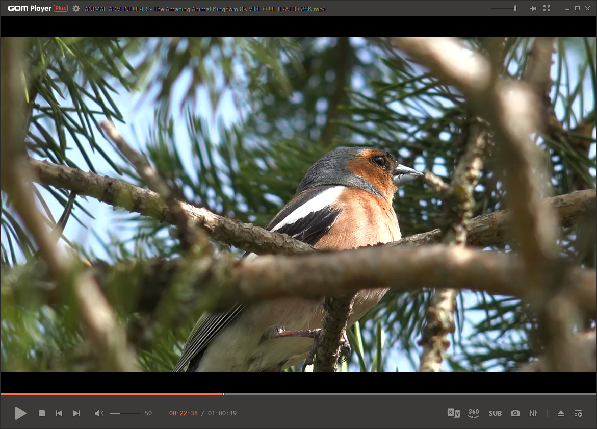 47449-gom-player-plus-23945365-x64-portable-by-7997-multi-ru