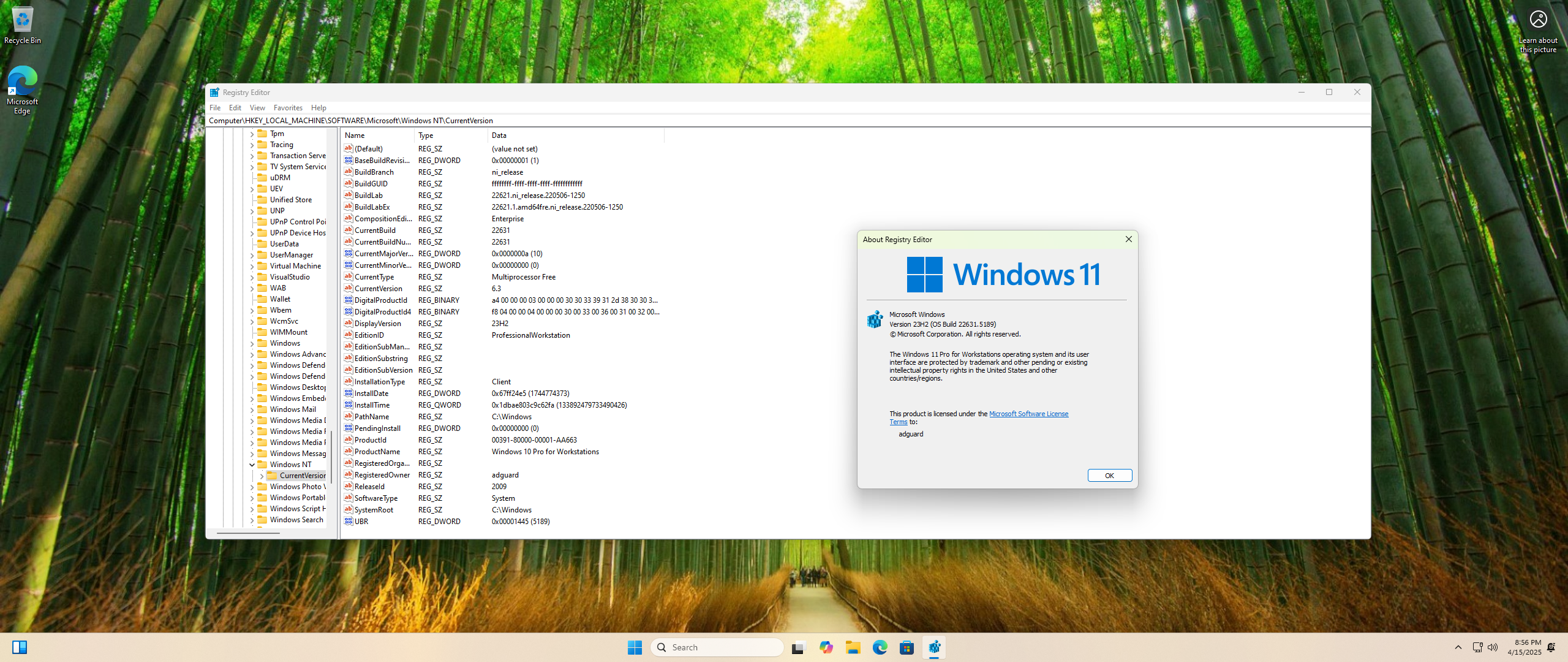 51381-microsoft-windows-11-100226315189-version-23h2-updated-april-2025-originalnye-obrazy-ot-microsoft-msdn-en