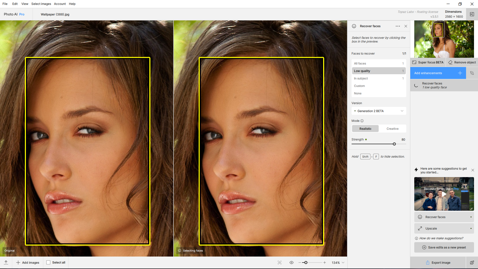 50591-topaz-photo-ai-pro-351-x64-rc-en