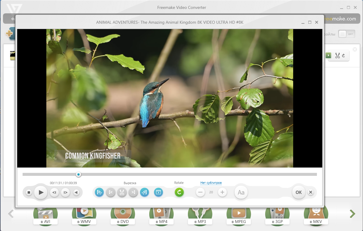47320-freemake-video-converter-4113175-repack-amp-portable-by-elchupacabra-multi-ru