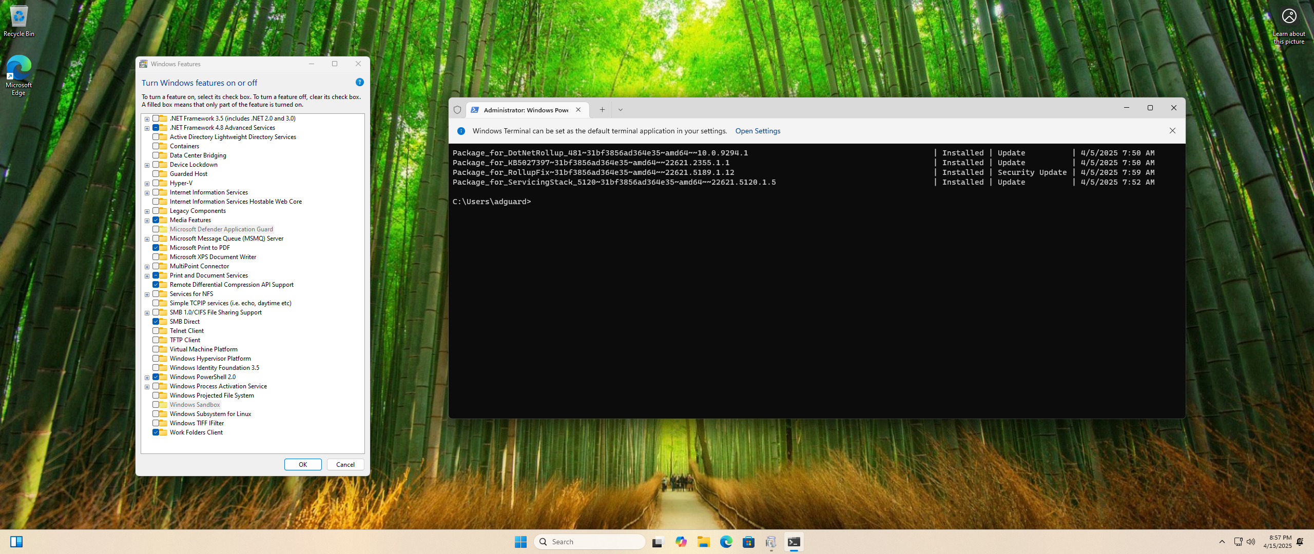 51381-microsoft-windows-11-100226315189-version-23h2-updated-april-2025-originalnye-obrazy-ot-microsoft-msdn-en